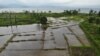 Uji Coba Pintu Air PLTA Poso Rendam Sawah, Petani Terpaksa Membeli Beras