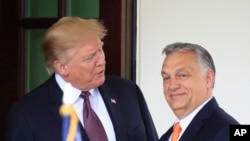Arhiv - Susret Trumpa i Orbana u Bijeloj kući