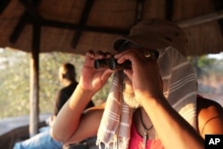 A game counter uses binoculars to spot animals coming to drink at a waterhole in Gonarezhou National Park, Oct. 29 2023.