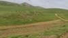 تبدیل بخشی از جنگل‌ ابر به چراگاه؛ این جنگل بار دیگر در معرض تخریب قرار گرفت