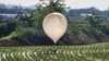 South Korea says North Korea sending more balloons southward