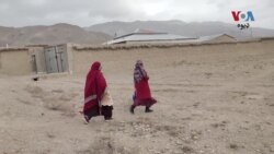 يونيسېف په بلوچستان کې يوه ورځنی فري ميډيکل او د ويکسين کېمپ کړی چېري چې د پوليو ضد کيمپېن ځنډول شوی دی.
