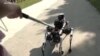 Un robot chinois pour faciliter l'indépendance des personnes malvoyantes