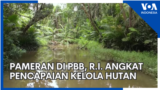 YT Thumb - Liputan BERITA/EKONOMI/TEKNO - Liputan BERITA