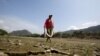 El Nino Climate Pattern Now Underway, NOAA Reports