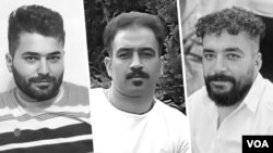 مجید کاظمی، سعید یعقوبی و صالح میرهاشمی