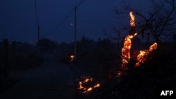 This photograph shows burning vegetation next to a road near Frontignan as a fire hit 300 hectares in the Herault department in southern France, Aug. 18, 2024.