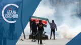 Tamsaasa Guyaadhaa Guyyaa