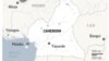 FILE - Cameroon officials say at least 2,000 foreign laborers are working illegally in gold mines and exporting wood on its eastern border