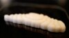 Israeli Company Creates 3D-Printed Fish