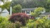Do Americans Hate Their Lawns Enough to Get Rid of Them?