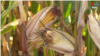 16x9 Image