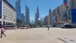 په متحده عرب اماراتو کې د پاکستانیانو کاروباري هلې ځلې زیاتې شوي
