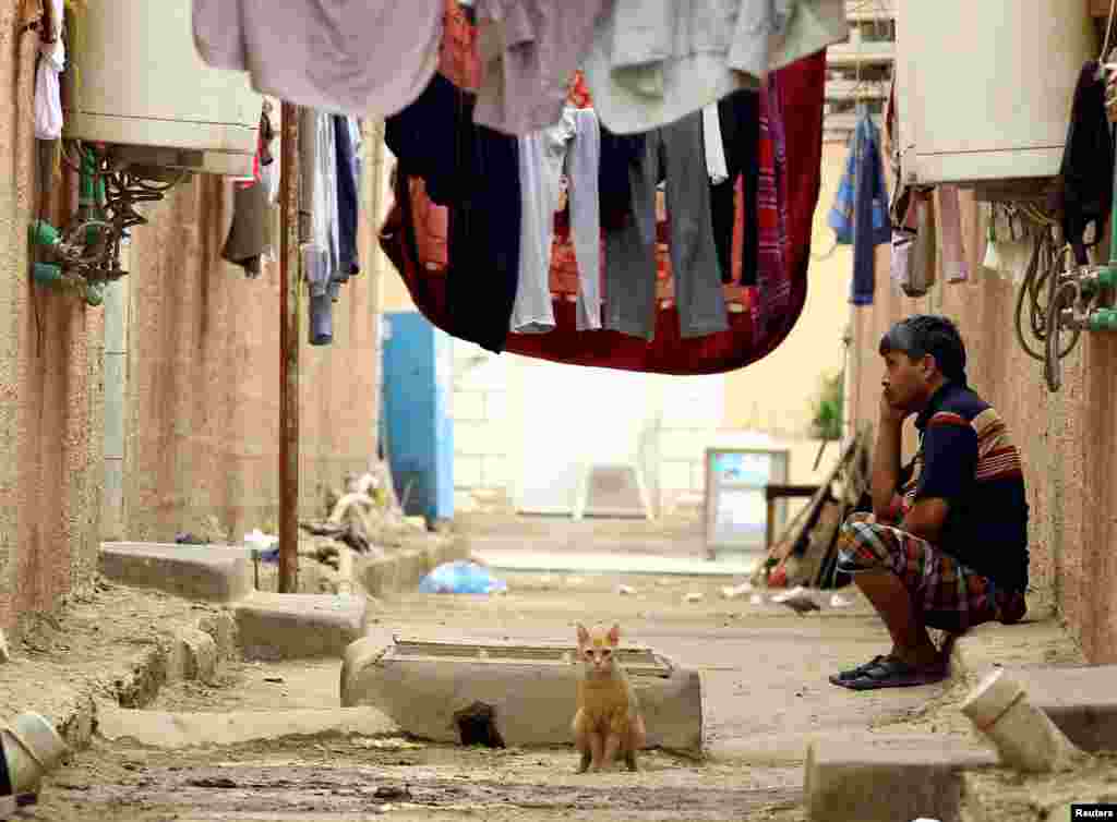 A cat is seen as an Asian worker sits at his accommodation in Qadisiya labour camp, Saudi Arabia.