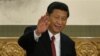 中国网络观察：习总陷危机