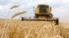 Panen gandum di ladang dekat desa Krasne, di daerah Chernihiv, 120 km ke utara dari Kyiv, pada 5 Juli 2019. (Foto: AFP)