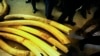 Saisie d'environ 1.500 kg d'ivoire à Lubumbashi