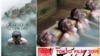 İran Azərbaycanında türkdilli “Qocalar ölməz” filmi böyük ekranlara çıxır