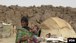 Afar Drought 03