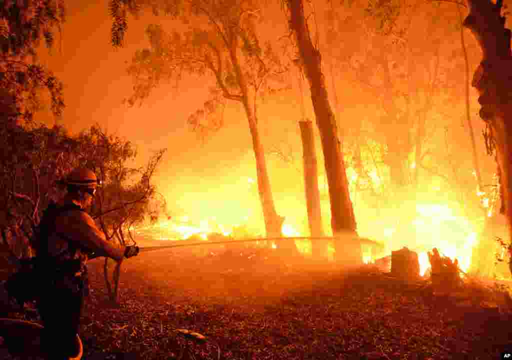 A firefighter knocks down flames as they approach a ranch near the Las Flores Canyon area west of Goleta, California, in the early morning hours of June 16, 2016. The wildfire burning in rugged coastal canyons west of Santa Barbara is growing as it feeds on vegetation that hasn't burned in 70 years.