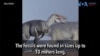 Scientists Find Dinosaur Fossils in Patagonia