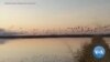 Big Data and Farmers Create Instant Wetlands to Help Migrating Birds