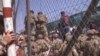 Islamic State Operative Behind Deadly Kabul Airport Attack Is Dead