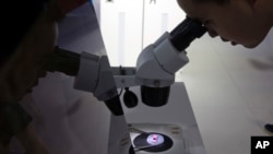 FILE - A computer chip is being viewed through a microscope at the 21st China Beijing International High-Tech Expo, in Beijing, China, May 17, 2018. U.S. export restrictions are now targeting Chinese chipmaker SMIC.