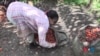 Tayap, village écologique au Cameroun