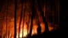 Siluet dari seorang petugas pemadam kebakaran yang tampak berdiri di tengah hutan yang dilanda kebakaran di Casais do Vento, Alvaiazere, Portugal, pada 10 Juli 2022. (Foto: AFP/Patricia De Melo Moreira)