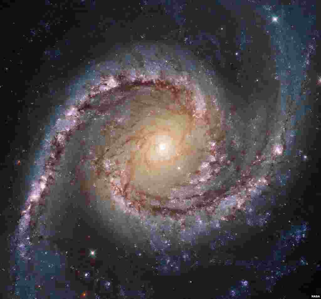 Gambar yang diterima dari teleskop Hubble menunjukkan sebuah galaksi yang indah, NGC 1566, yang berjarak 40 juta tahun cahaya dari bumi.