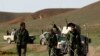 FILE - Afghan National Army soldiers (ANA) check the road before an operation at the Mir Abadi village of Adraskan district of Herat province, April 4, 2014. 