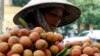 A vendor transports lychees for sale on the street in Hanoi, June 14, 2007. 