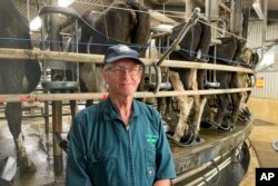 Dairy farmer Aidan Bichan poses in front of cows as they are being milked at Kaiwaiwai Dairies on Nov. 2, 2022, in Featherston, New Zealand.