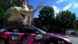 GMO Opponents Take Protest On the Road