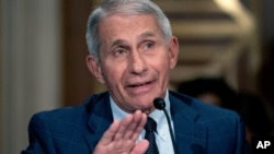 Pakar penyakit menular AS, Dr. Anthony Fauci