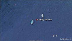 Shark Hunting Having an Indirect Impact on Fish Species