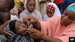 FILE- Seorang pejabat kesehatan tak dikenal memberikan vaksin polio kepada seorang anak di Kawo Kano, Nigeria, 13 April 2014. (AP/ Sunday Alamba, File)