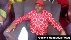 Acting MDC-T president Nelson Chamisa.