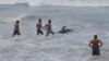 Sri Lankan Navy, Volunteers Rescue at Least 100 Stranded Pilot Whales 