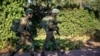 Israel, Hezbollah Trade Fire Across Lebanese Border
