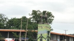 Gambeellaatti Namoonni Nagaan Hedduun Humnoota Mootummaa Ajjeesamuu, Kanneen Argine Jedhan Dubbatan 