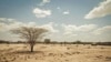 Afrique australe : des millions de personnes pourraient manquer de nourriture selon l'ONU