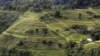 Vietnam Rice Industry Faces Threat From Climate Change, Mekong Dams
