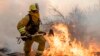 A firefighter from San Matteo helps fight the Kincade Fire in Sonoma County, Calif., on Sunday, Oct. 27, 2019.