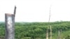 Global Companies Demand Sustainable Palm Oil, Paper From Indonesia