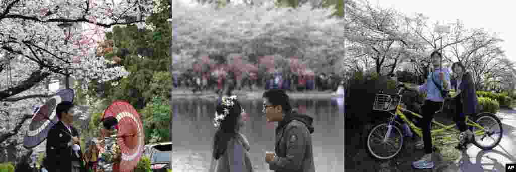 In this combination of photos showing couples with cherry blossoms in Tokyo, Beijing, and Seoul, from left to right: A couple in Japanese traditional wedding Kimonos pose for a photograph under the blooming cherry trees in Tokyo, April 5, 2017; a man and woman share a moment as cherry trees bloom at rear at Yuyuantan park in Beijing, March 25, 2017; a man and woman on a bike take a selfie near cherry blossoms in Seoul, April 10, 2017. 