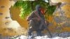 Al-Shabab Beheads Somali Brothers for Spying