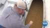 WATCH: Some US Farmers Ditch Soybeans Amid Trade War with China