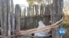 Zimbabwe Villagers Fight Chinese Coal Mining Project Near Wildlife Reserve 